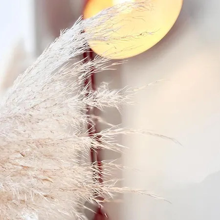 Historical Center In Xviii Th Century Δωμάτια σε οικογενειακή κατοικία *